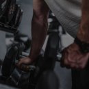 발리휘트니스 이미지