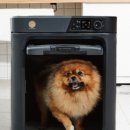 주식회사 페페 이미지