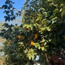 토성한의원 | 10월