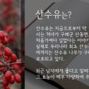 바른식품