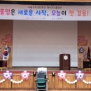 수락초등학교 이미지