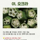오크라 이미지