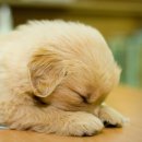 머리이야기 이미지