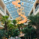 오송도송음식문화특화거리 이미지