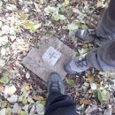 남지시장 이미지