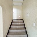 외솔길19번길 | 춘천피부관리 수분물광 팡팡 페이스샐리숲맞춤관리 <샐리숲피부>