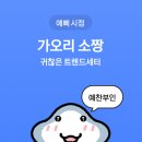 소짱