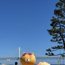 더무어 | [광안리] 더무어 웰니스 풀빌라 내돈내산 후기