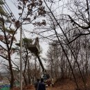 스카이핌