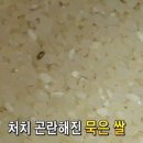 떡사랑떡집 이미지