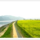 창녕 남지 개비리 이미지