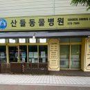 산들동물병원 네이버블로그