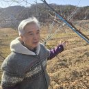 김영훈농장 이미지