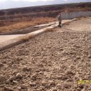 율동주유소 이미지