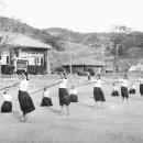 진도초등학교 이미지