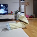 똥강아지이발소 이미지