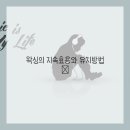 아나덴 슈가링왁싱 부천신중동역점 이미지