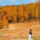 (주)수앤아이 이미지