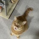 용용스테이션 | October 2nd week, 2025