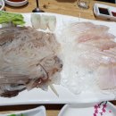 회광어9900 이미지