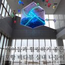 불도유치원 | 등대도 보고, 바다도 보고 ✨ 포항 국립등대박물관 평일 방문 후기