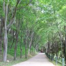 미동산수목원 이미지