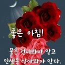 화요일 Daum카페