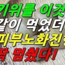 키위 효능 및 증상 먹는법 이미지