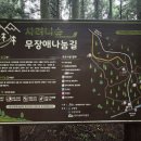 (주)사려니 | [제주 사려니숲길] 비 오는 날 더 좋았던 초록 이끼 숲 산책