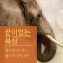 코끼리동물병원 이미지