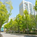 지원부동산중개사무소 이미지