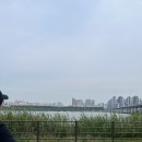 빚은우 | 일상 아이리쥬란 내돈내산 안 아픈 후기