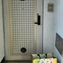 보성초등학교 이미지