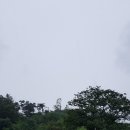 견우와 직녀농장 이미지