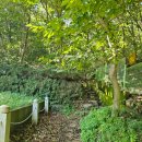 GR(울산광역시 울주군)-[언양로]-하-5 | 영남 알프스 가지 가지 하는 가지산 등정 후기