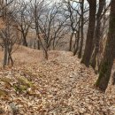 무양성(무한성) | 안성 무양성((安城 無陽城)