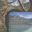 제주도 한라산 영실코스 🏔️ 완등!!!