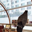 스시하나바 이미지