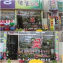 엔젤화원 Daum카페