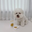 똘멍이네 이미지