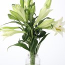 우리타워 이미지