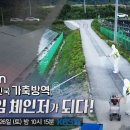 지원방역