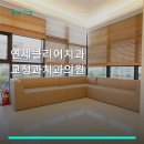 연세 클리어 치과교정과 치과의원 | 연세클리어치과교정과치과의원 진료 과목 및 이용 안내