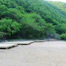 청송 얼음골 야영장 이미지