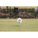 비쥬폼코리아 이미지