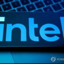 다투어 티스토리