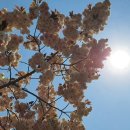 플러스유의원 이미지