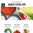 태백골김치 이미지