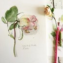 보테니컬 일러스트 이미지