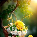 서울대의사가 알려주는 100년 허리 유지법 이미지